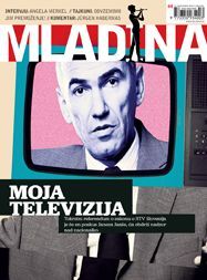 Mladina 44 | 5. 11. 2010