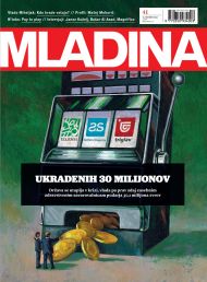 Mladina 41 | 2013