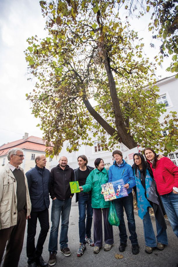 Civilna iniciativa za ohranitev dreves, Ptuj 