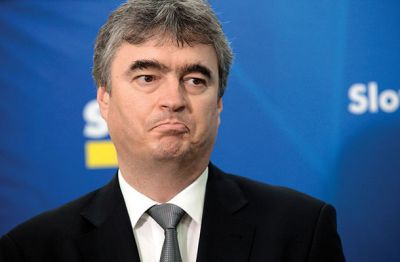 Milan Zver, evropski poslanec