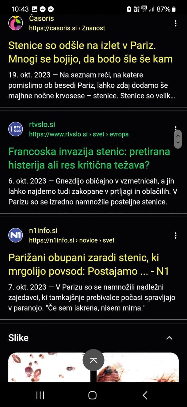 Pariške stenice v slovenskih medijih