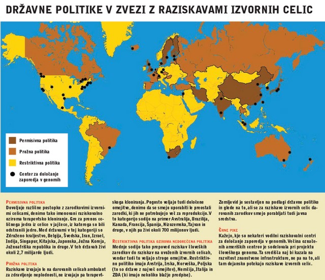 Državne politike v zvezi z raziskavami izvornih celic