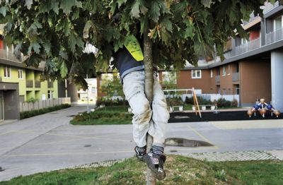 Igrišča in zelene površine, ki jih je glede na gostoto stanovanj zelo malo, vsaj zaenkrat še niso prostor, kjer bi se stanovalci srečevali.  