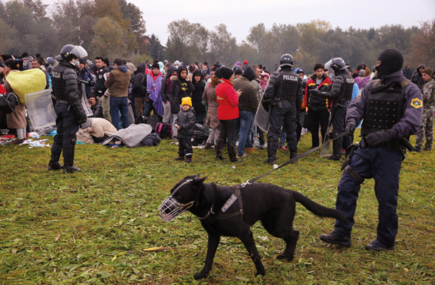 Kako se po slovensko sprejme begunce? S policijskimi ščiti, čeladami, posebno policijsko opremo in s psi.