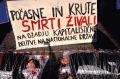 Počasne in krute smrti živali na ozadju kapitalistične delitve na nacionalne države, performans, Grajski trg, Maribor