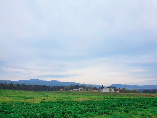 Smrdljive njive na obrobju Črnomlja, kjer se ob Petrolovi bioplinarni in zasebni prašičji farmi razprostira tudi priljubljena sprehajalna pot.