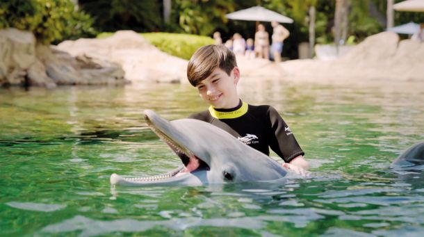 Discovery Cove: to je tematski park za elite – nobenih vrst, nobene gneče, nobenega trpljenja. In ko se jim zahoče, jim je na voljo personalizirana pustolovščina z delfini – personalizirano plavanje z njimi, unikatno doživetje.