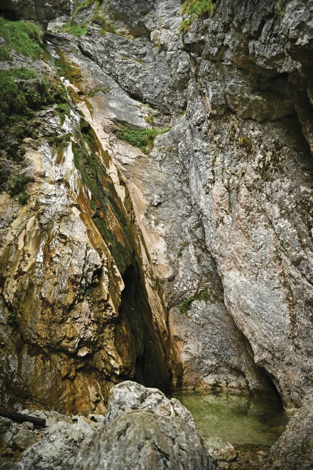 Slap Orglice v dolini Kamniške Bistrice je letos ostal brez vode. Ta samo še kaplja ob steni, poraščeni z mahom. /