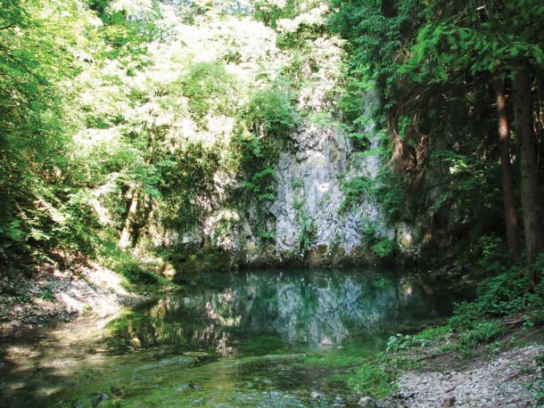 Vodni krog ima sicer izjemno sposobnost obnavljanja, a ta ima svojo mejo. Kje točno je, si ne želi izvedeti nihče. Gotovo pa bo potrebno veliko padavin, da si bodo vodotoki opomogli in da se na primer izvir Ljubljanice (Retovje) vrne v stanje na fotografiji.   