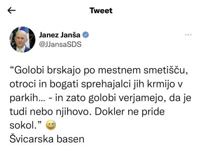 Tvit sokola Janeza