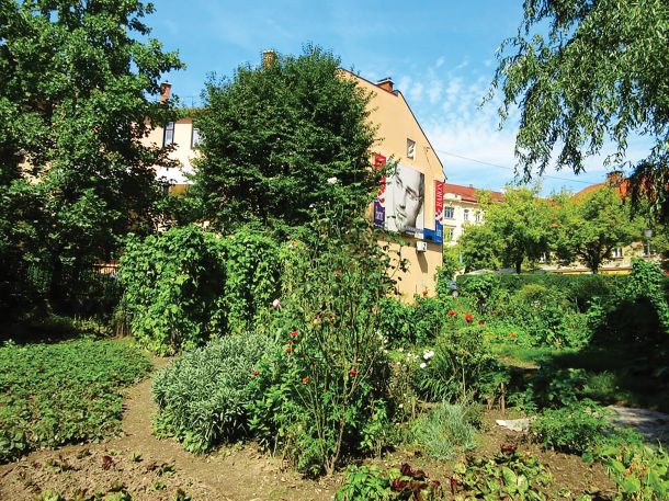 Zeleni vrtovi med Aškerčevo in Rimsko ulico v Ljubljani so na tej lokaciji obstajali 70 let in niso nikogar motili. Še več, mestu so dajali poseben čar.