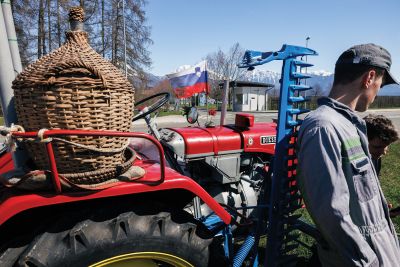 Vino teče naj, če teče kri