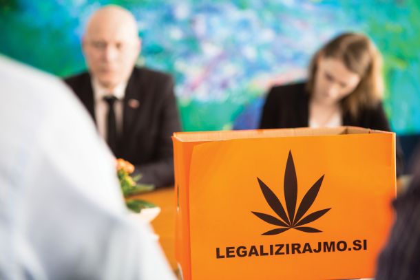 Piratska stranka v Sloveniji deluje že desetletje. V tem času je bila na primer aktivna na področju avtorskih pravic, vodila je kampanjo za legalizacijo konoplje, trenutno se zavzema za omejitev županskih mandatov. (Na fotografiji leta 2018 ob predaji podpisov v državnem zboru za začetek postopka za legalizacijo konoplje