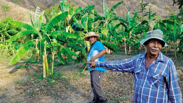 Jesus in Rene iz kolektiva Grupo agroecologico la ceiba y el saman.