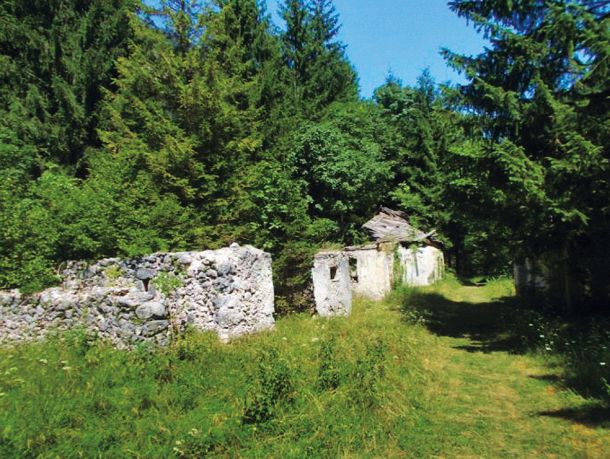 Najdražja parcela v Trenti in največji dobiček za Janeza Janšo