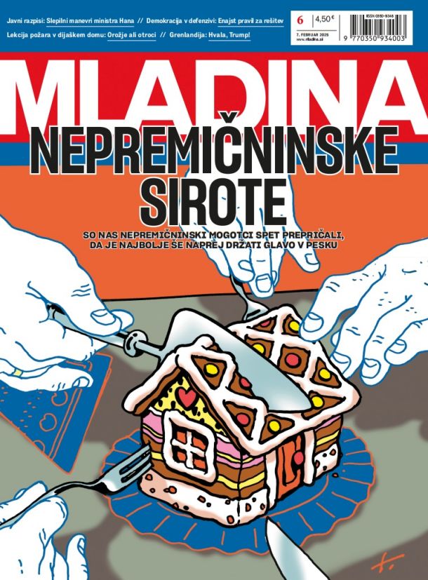 MLADINA 06 2025: NEPREMIČNINSKE SIROTE