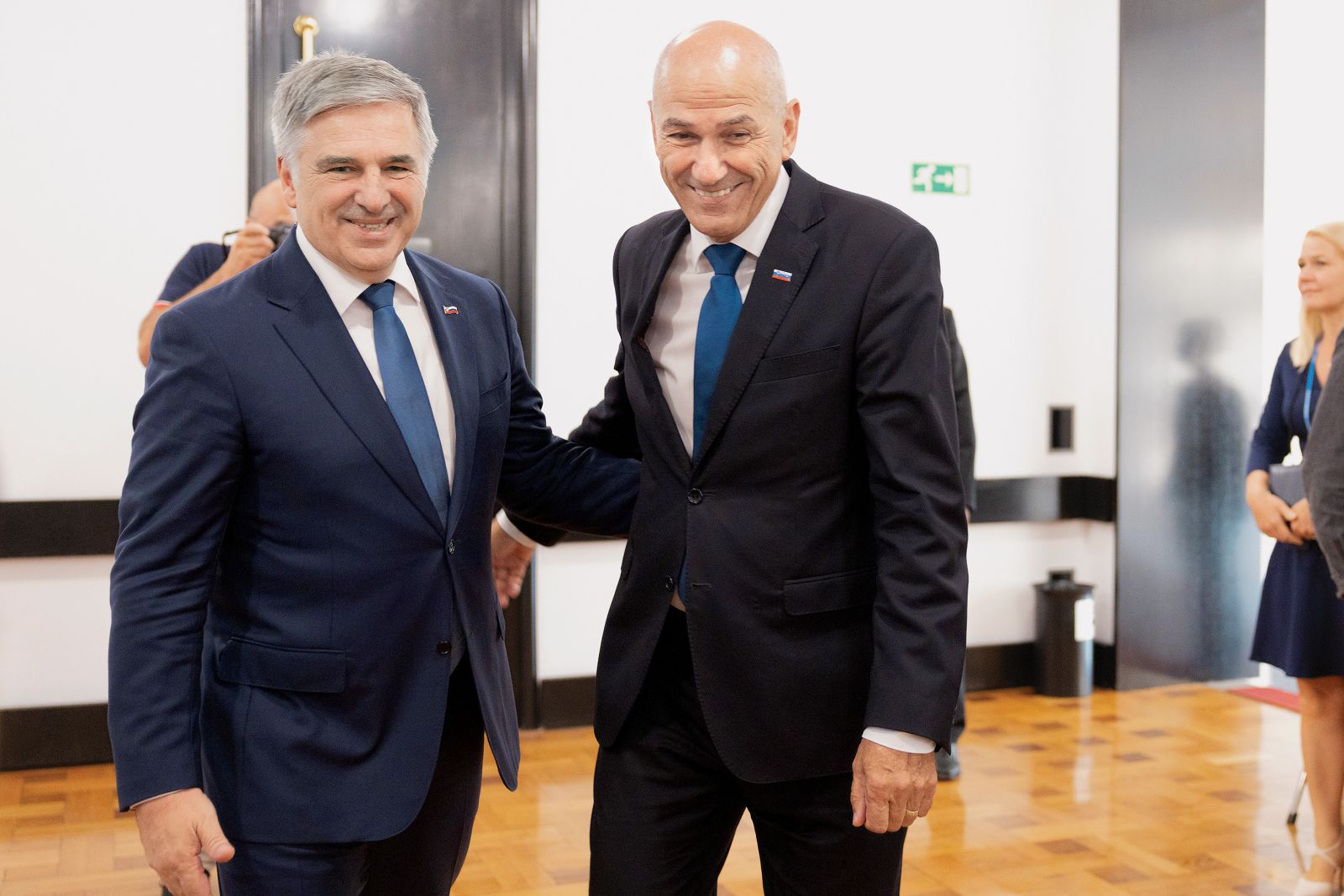 Vladni delodajalci